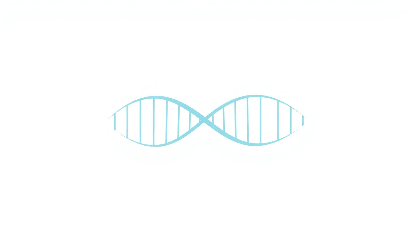 A clean, minimal educational diagram of DNA structure on a white background. Show a detailed double helix shape with twisted ladder form, clearly highlighting spiral sugar-phosphate backbones and pair
